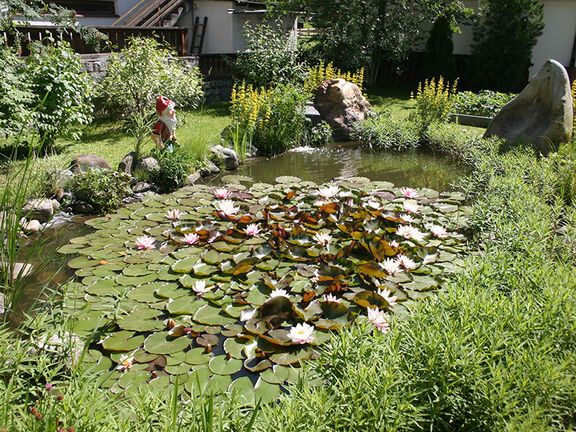 Our garden - Gästehaus Schranz